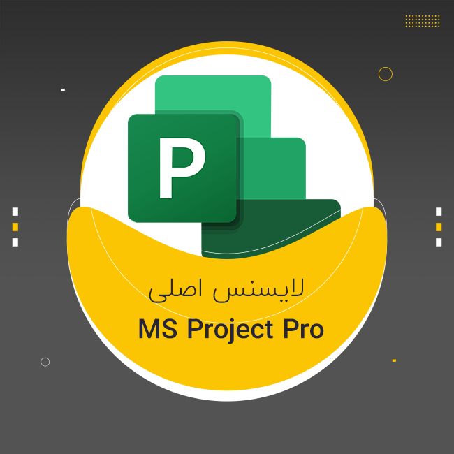 مایکروسافت پروجکت | MS Project Pro